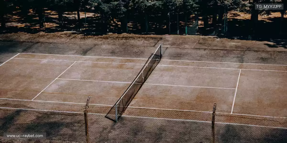 突破极限，成就荣耀！🏆